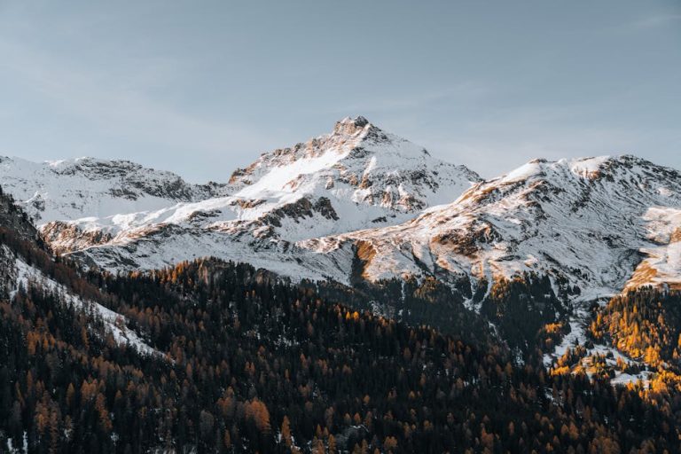 急凍三文魚的選擇與保存技巧：貼心指導