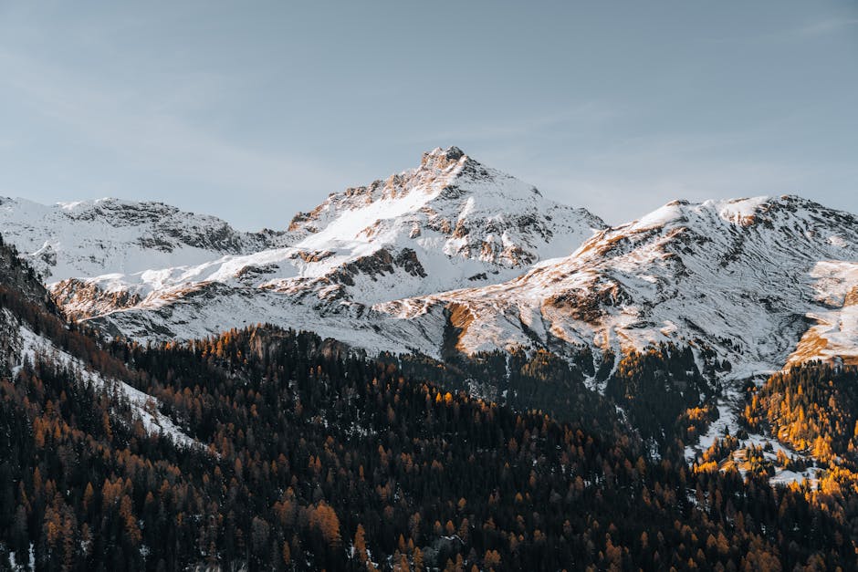 急凍三文魚的選擇與保存技巧：貼心指導