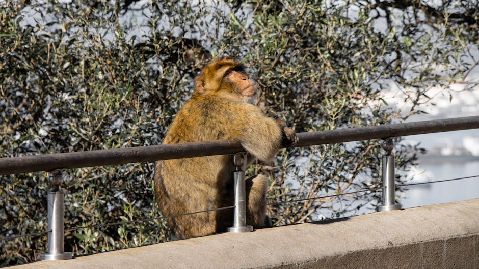 迷你倉的市場價值與未來發展分析